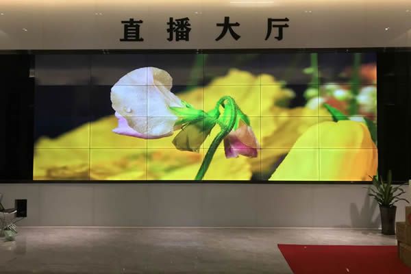 直播大屏用哪種好，直播大屏有哪些